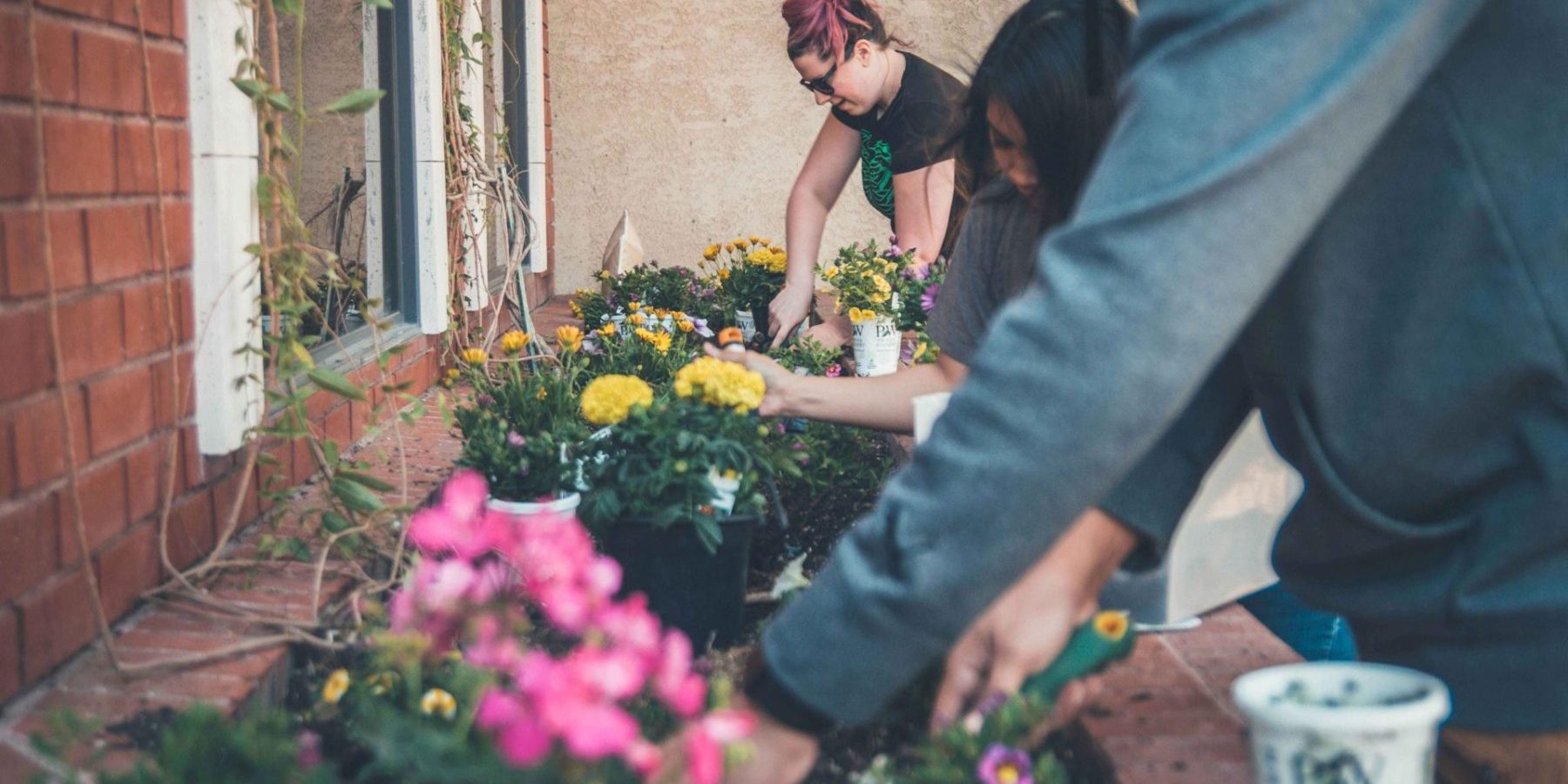 Gardening photo
